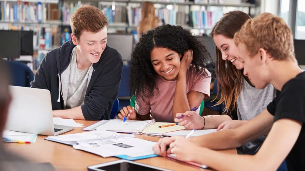 Education (K–12 & Higher Education)