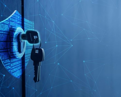 Managed network services